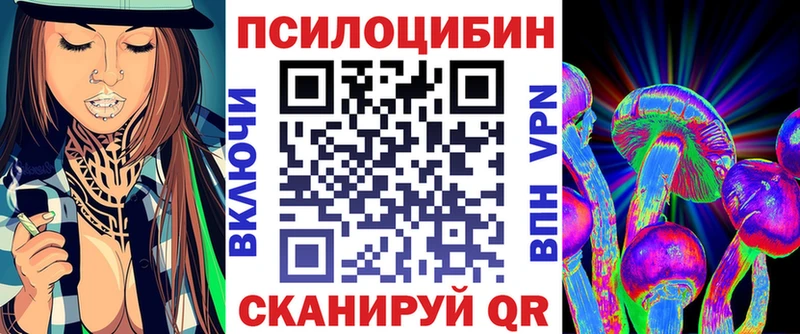 где купить наркотик  Урус-Мартан  kraken как войти  Галлюциногенные грибы Cubensis 