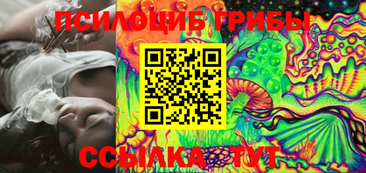 Галлюциногенные грибы Psilocybe  Урус-Мартан 