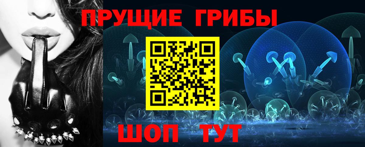Галлюциногенные грибы Cubensis Урус-Мартан