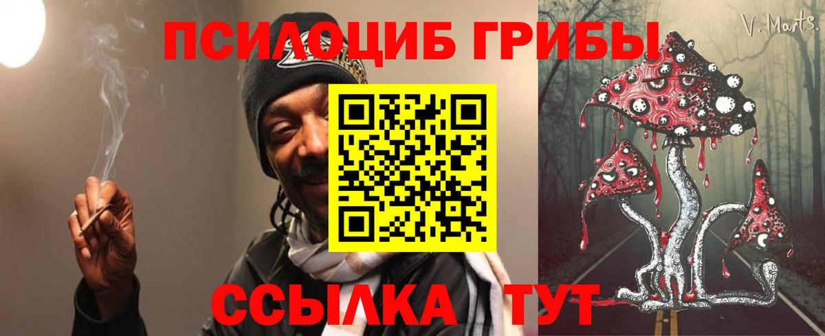 Псилоцибиновые грибы прущие грибы Урус-Мартан