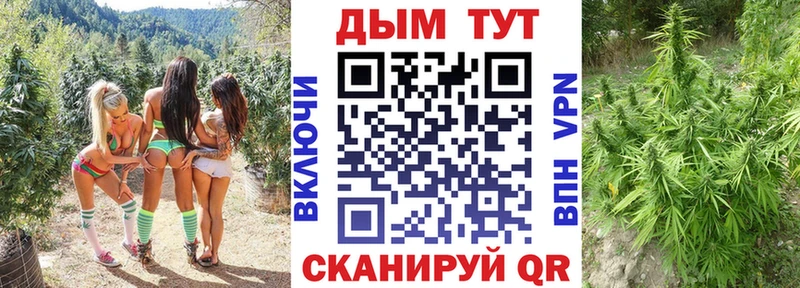 Конопля Amnesia Урус-Мартан