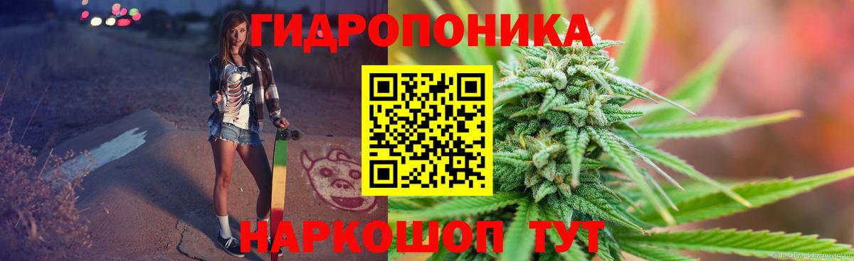 Марихуана Bruce Banner Урус-Мартан